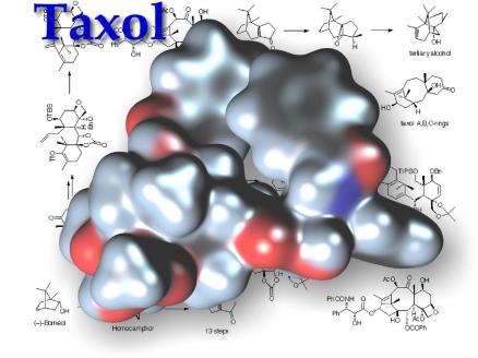 Taxol.1024x768